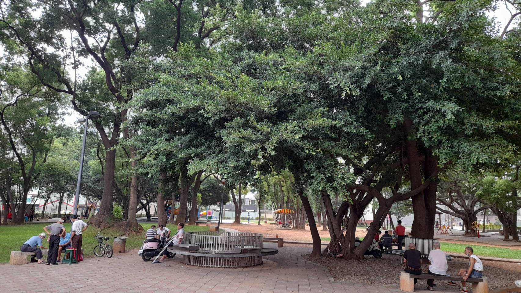 大樹二景.jpg